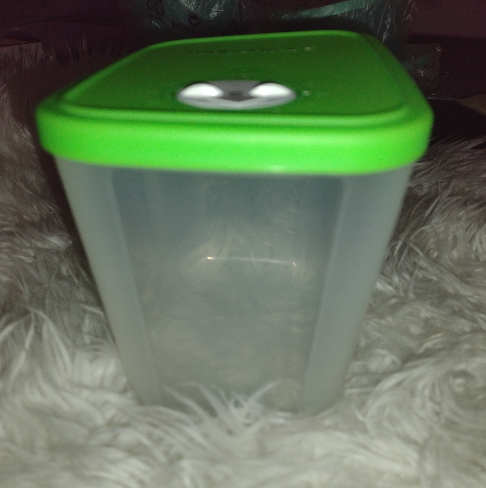 Tupperware Frigo Fechador Small #3.